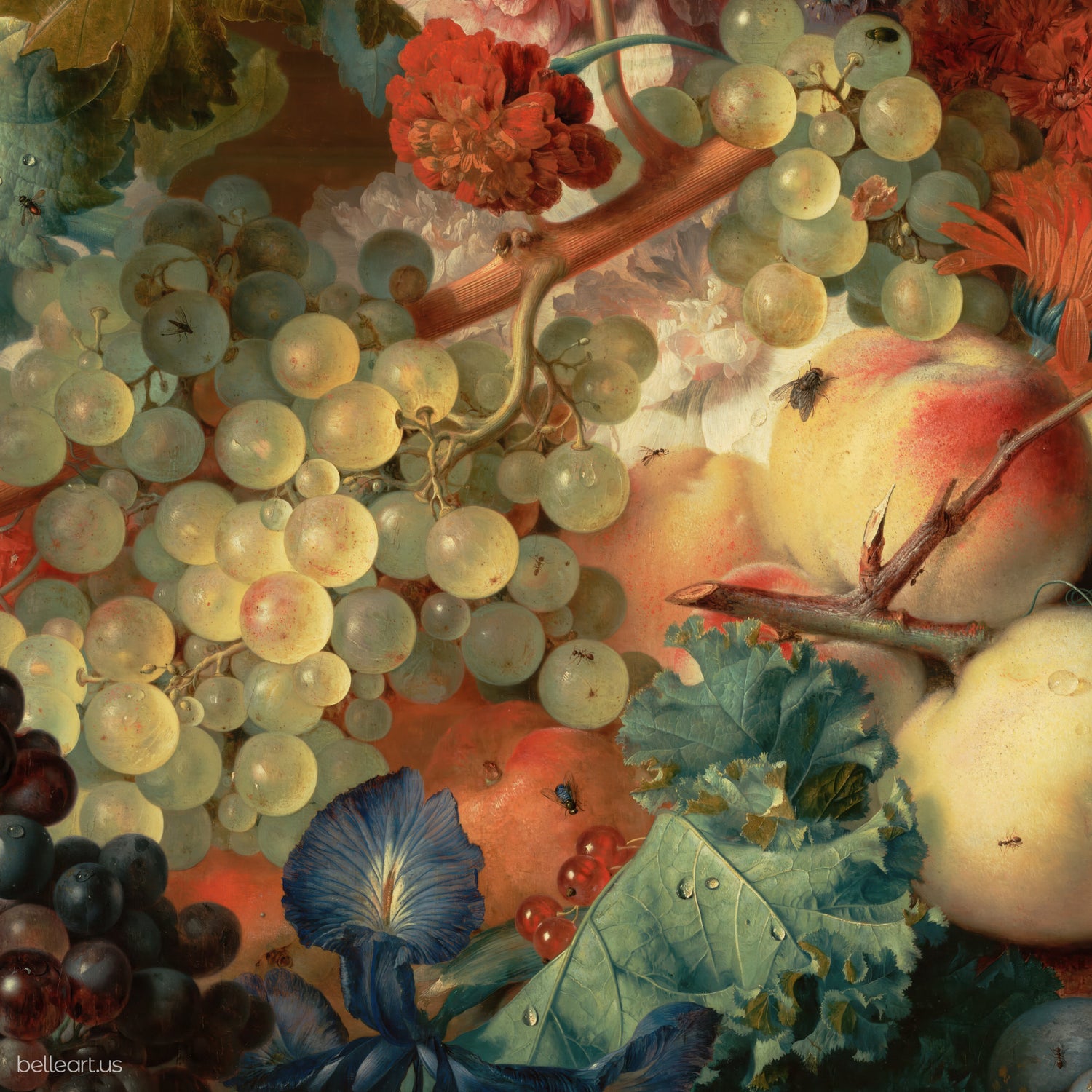 Fruit Piece by Van Huysum panel print