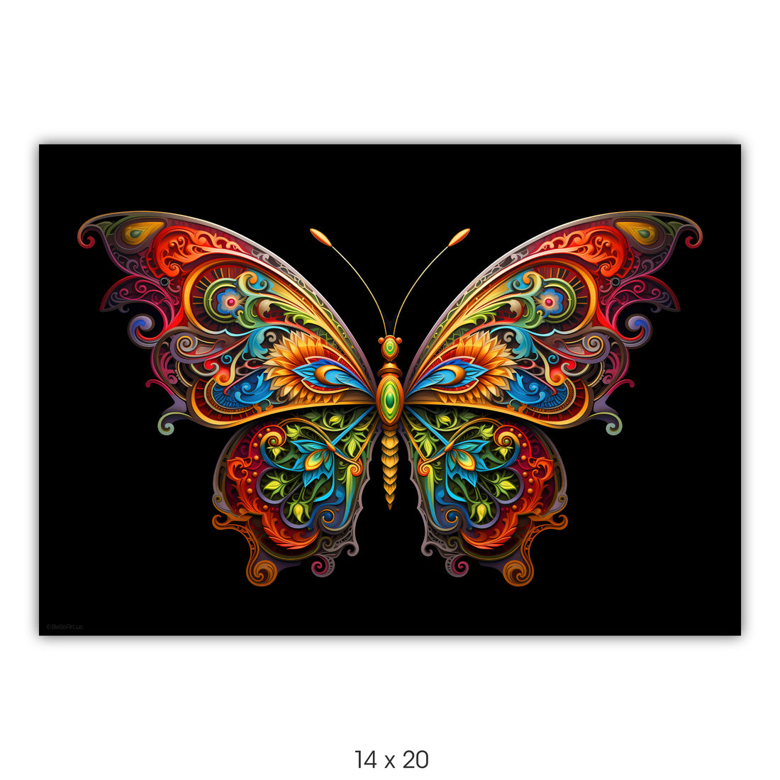Butterfly