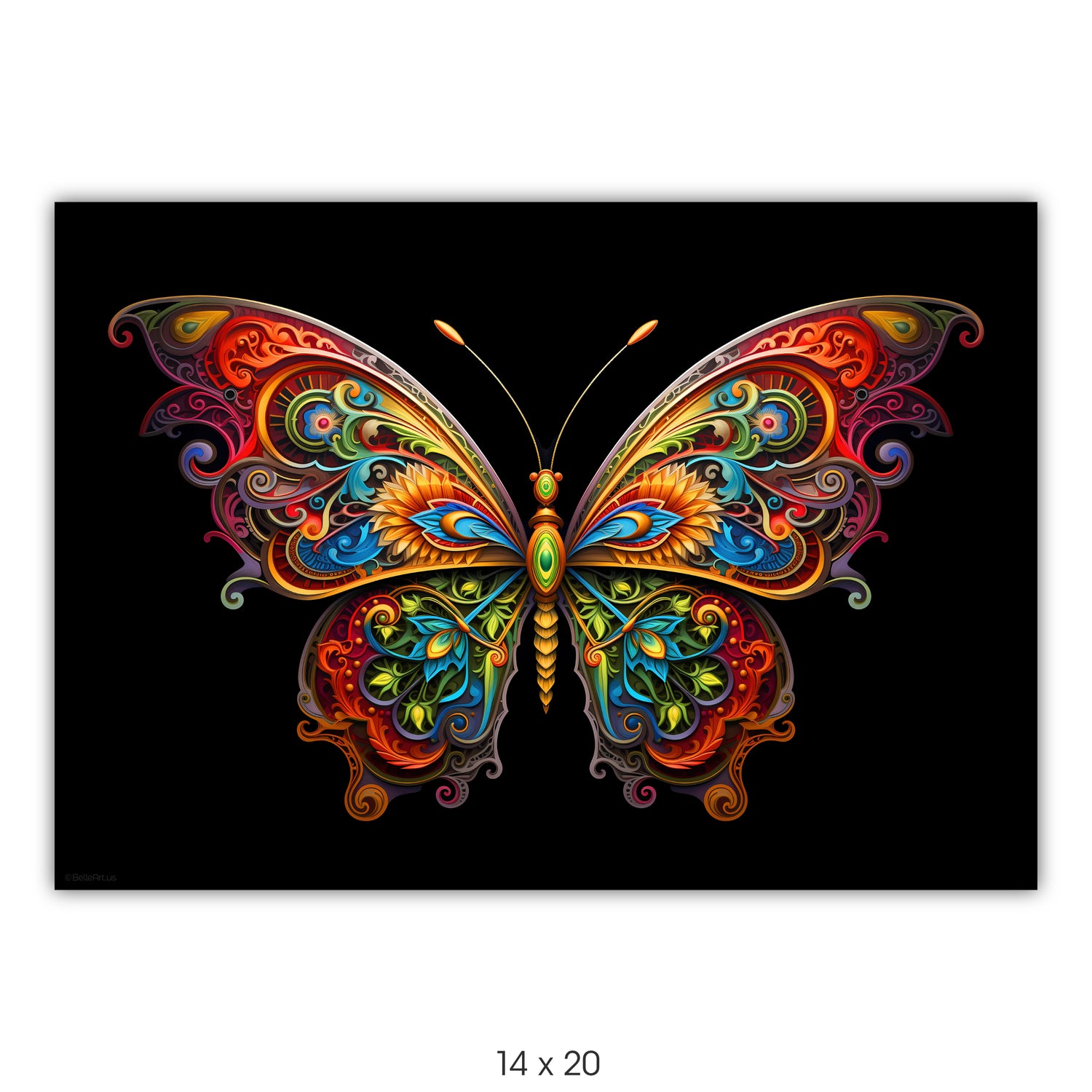 Butterfly
