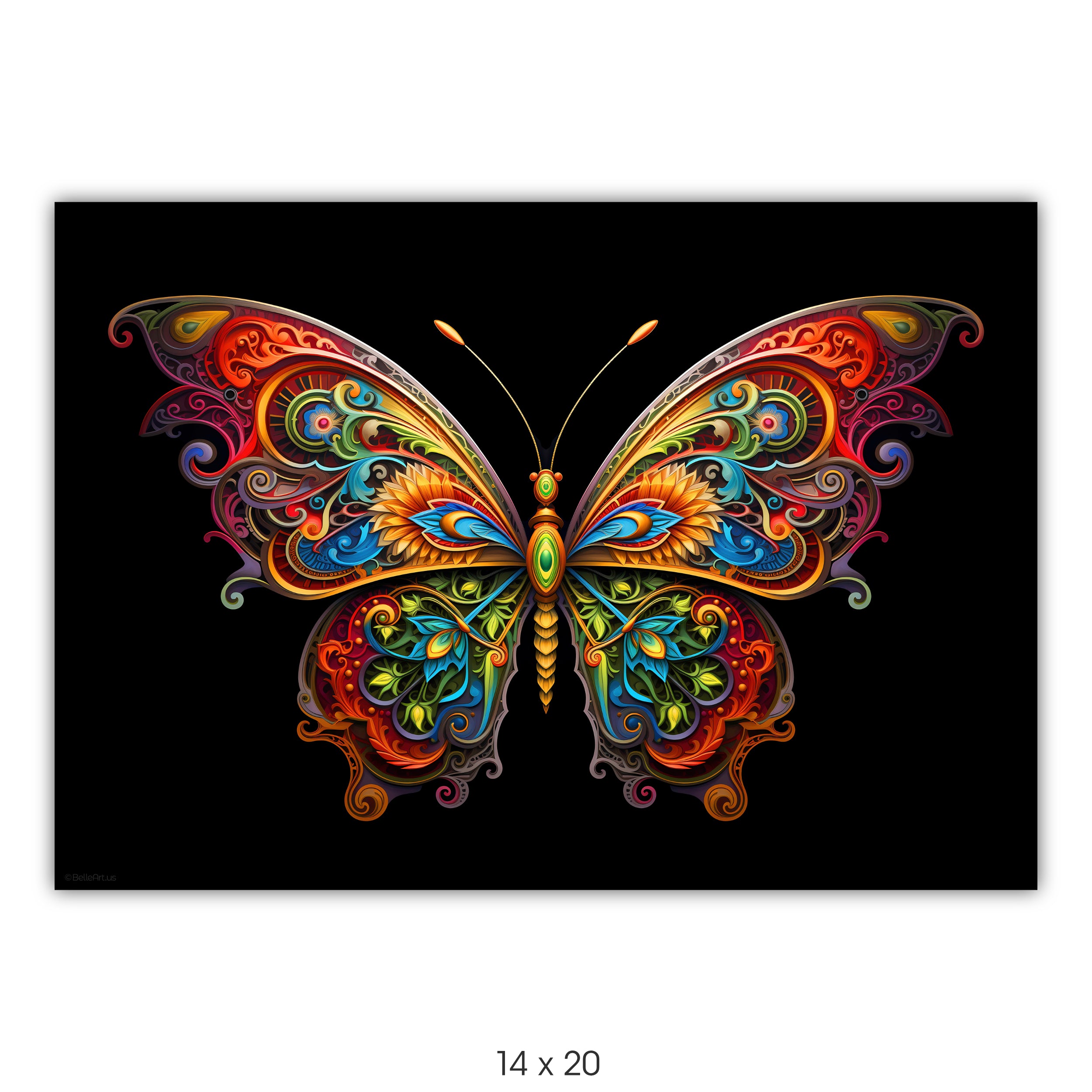 Butterfly